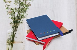 ST9604 Eco Notebook With Pen -RED