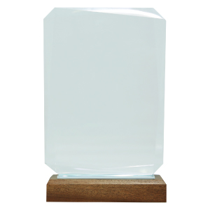 Rectangular Crystal Award