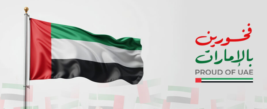 Website Uae Flag 2026